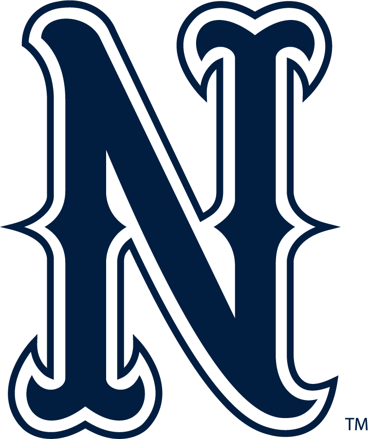 Nevada Wolf Pack 2023-Pres Secondary Logo v2 diy iron on heat transfer